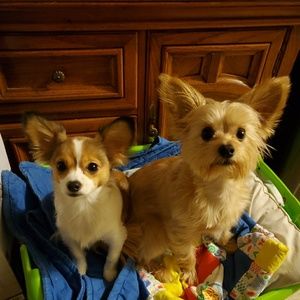 Meet your Posher, Kristy